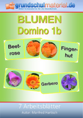 Blumen-Domino_1b.pdf